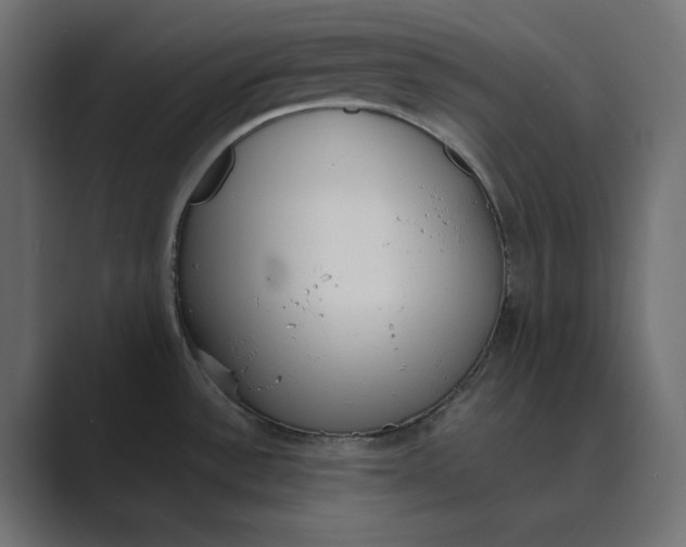X0000089391532200706291325