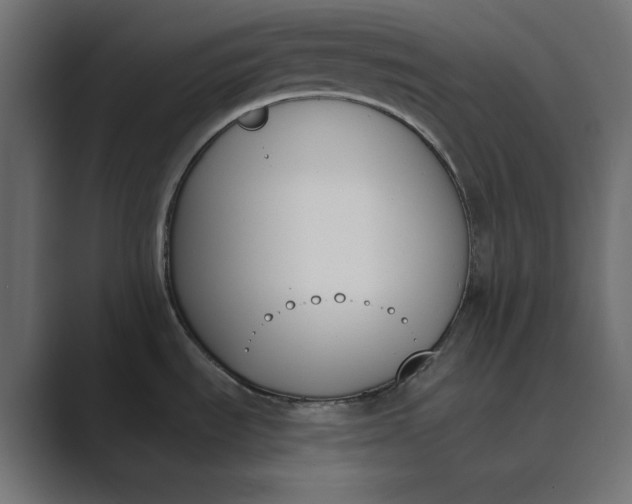 X0000089391535200706291325