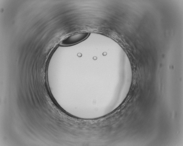 X0000089390002200707061215