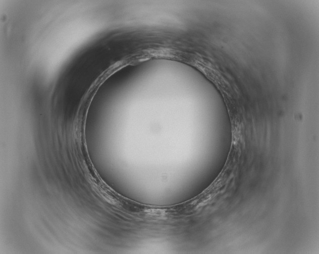 X0000089390052200707061214