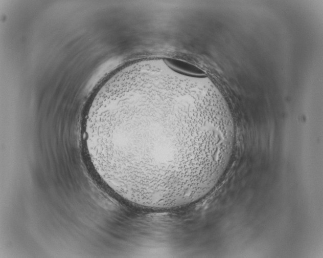 X0000089390054200707061214