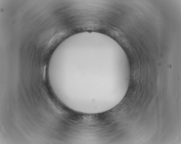 X0000089390070200707061214