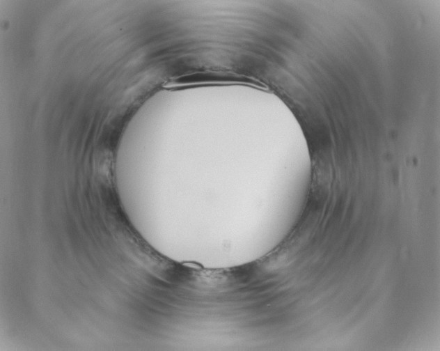 X0000089390141200707061213