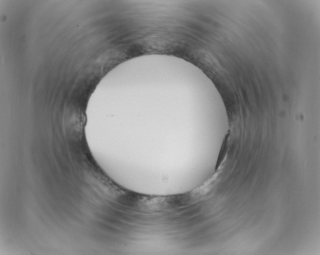 X0000089390186200707061213