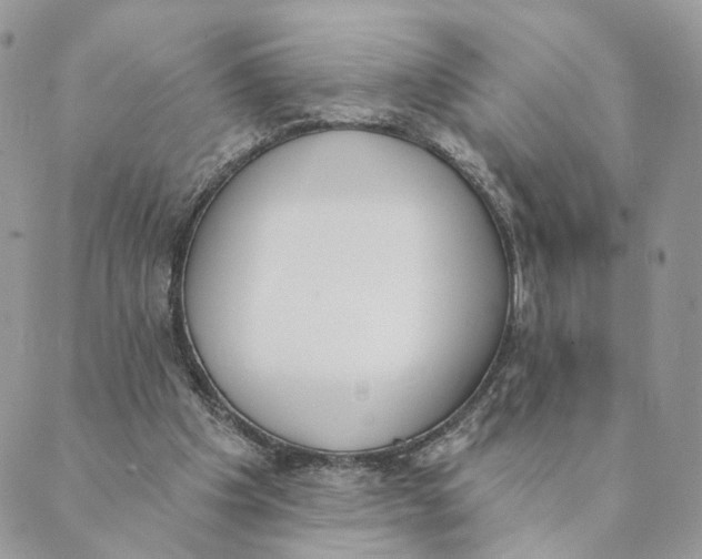 X0000089390201200707061212