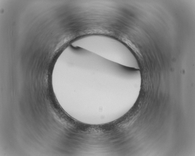 X0000089390207200707061212