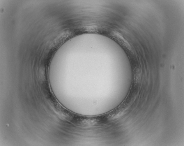 X0000089390213200707061212