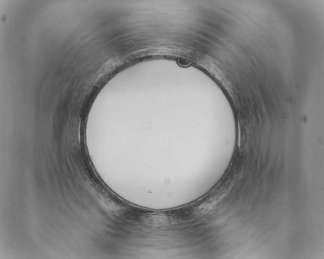 X0000089390253200707061211