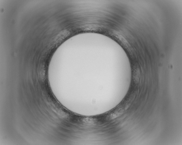 X0000089390261200707061211