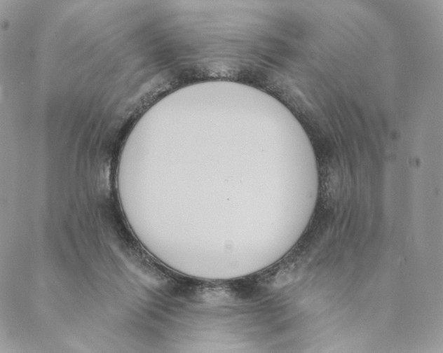 X0000089390262200707061211