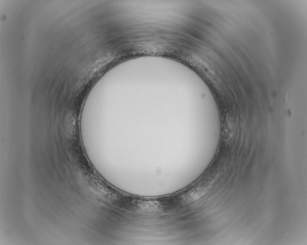 X0000089390355200707061209