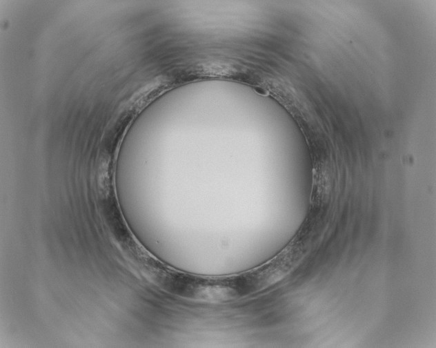 X0000089390360200707061209