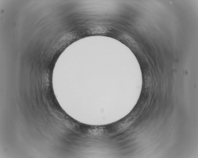 X0000089390362200707061209