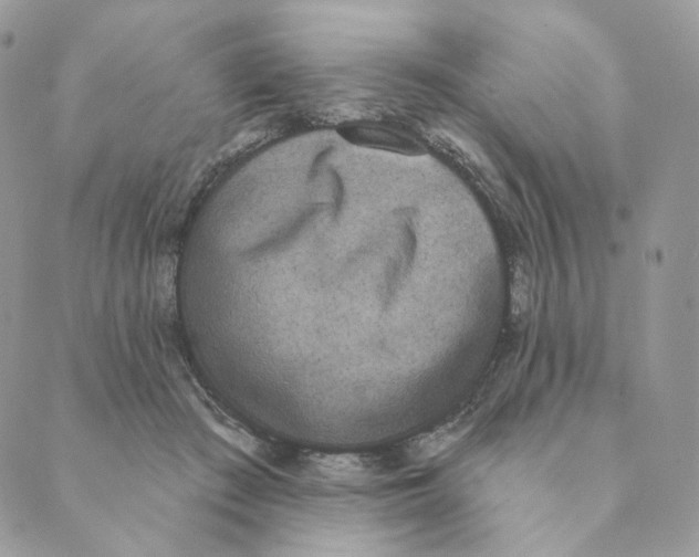 X0000089390409200707061209