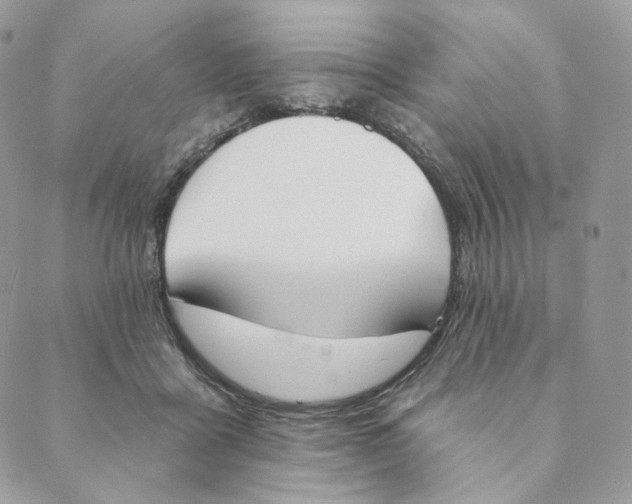 X0000089390411200707061209
