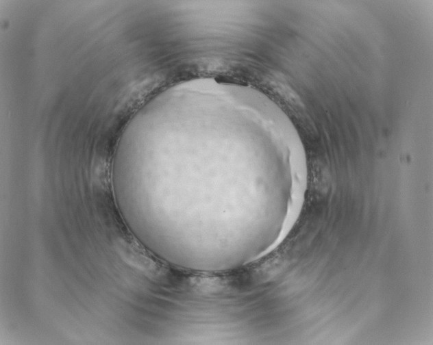X0000089390419200707061208
