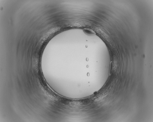X0000089390444200707061208
