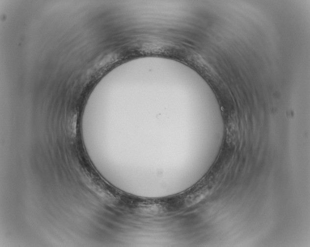 X0000089390454200707061208