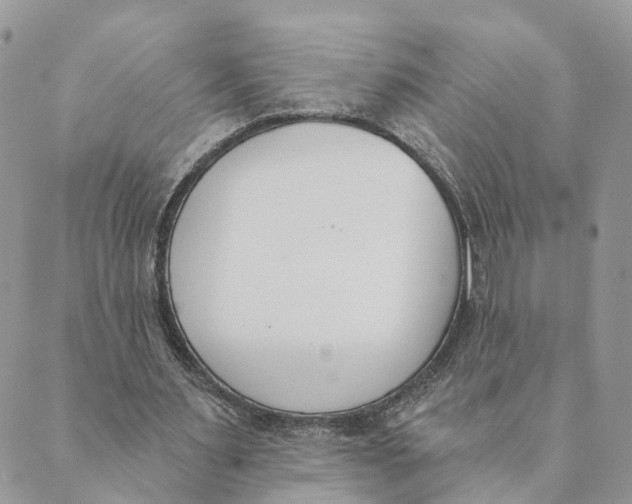 X0000089390483200707061207