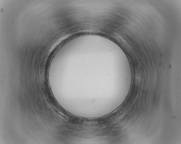 X0000089390484200707061207