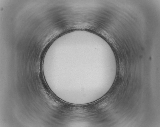 X0000089390486200707061207