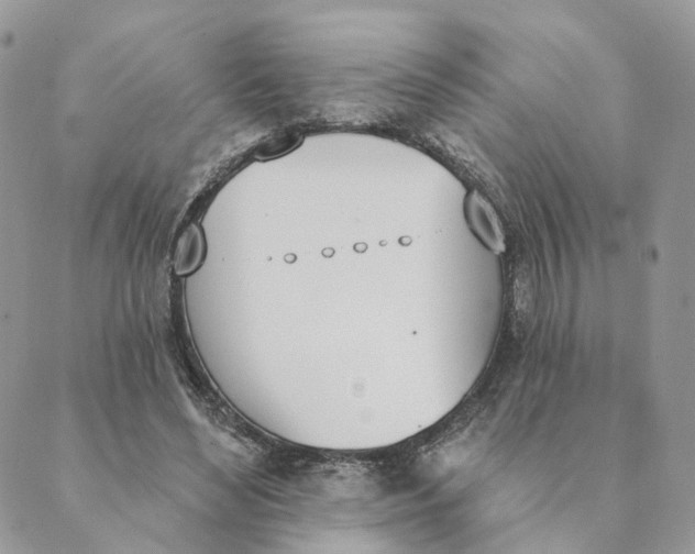 X0000089390492200707061207