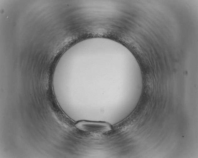 X0000089390496200707061207