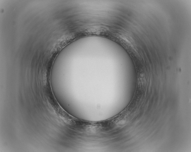 X0000089390504200707061207