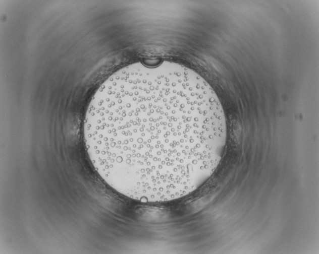 X0000089390507200707061207