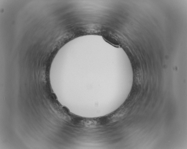 X0000089390512200707061207