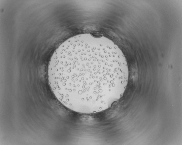 X0000089390519200707061207