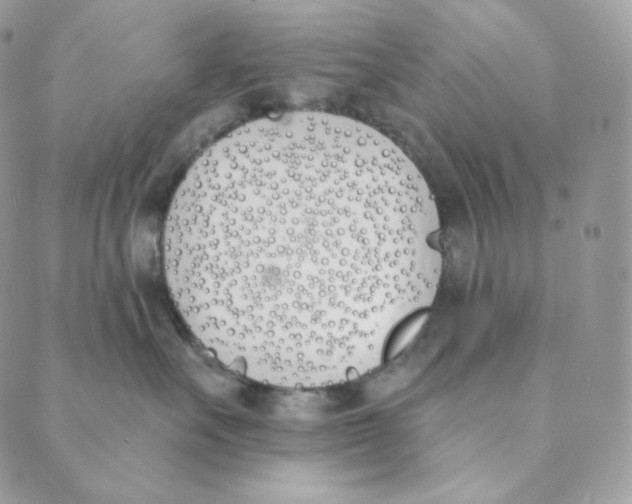 X0000089390527200707061207