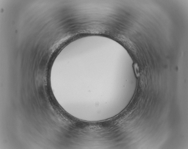X0000089390536200707061206