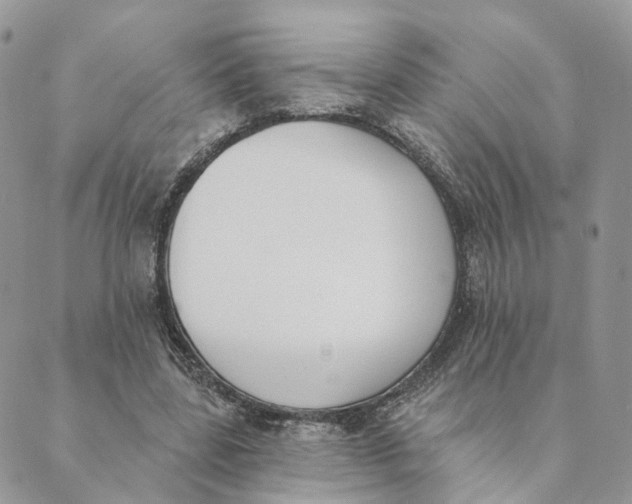 X0000089390539200707061206