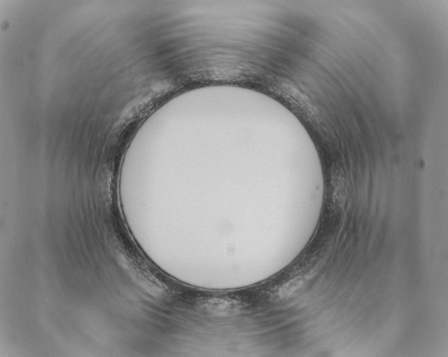 X0000089390542200707061206