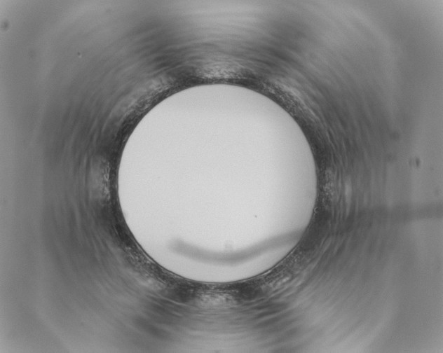 X0000089390547200707061206