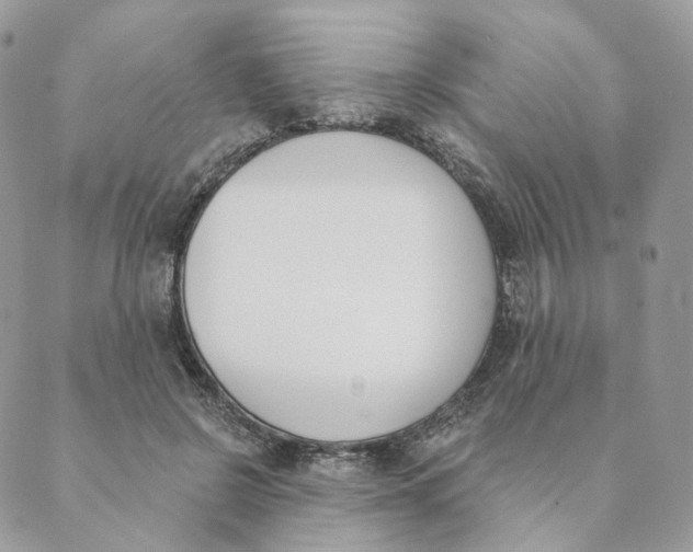X0000089390550200707061206