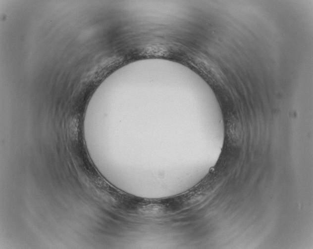 X0000089390551200707061206