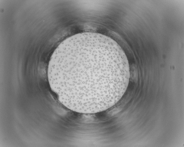 X0000089390573200707061207