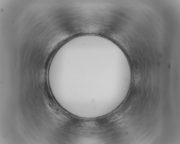 X0000089390583200707061206