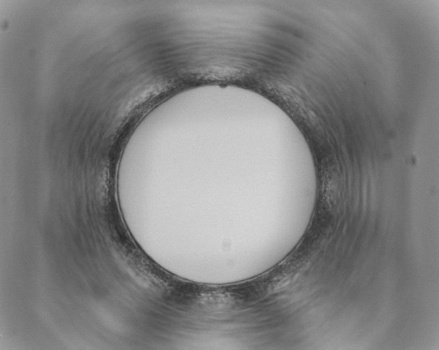 X0000089390591200707061206