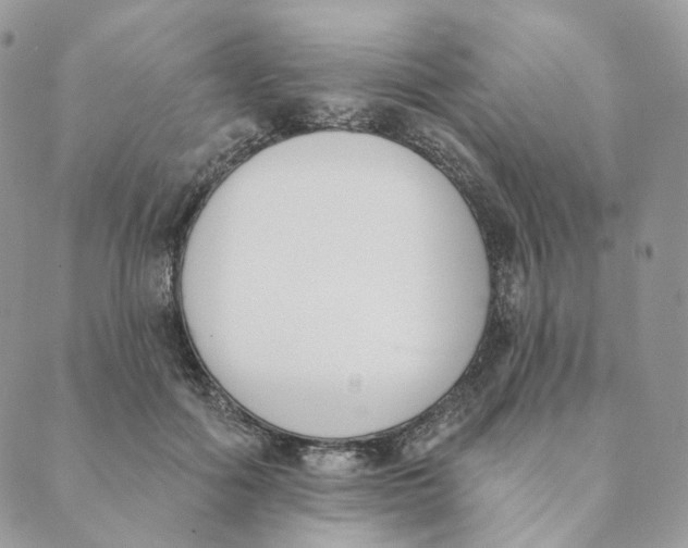 X0000089390602200707061205