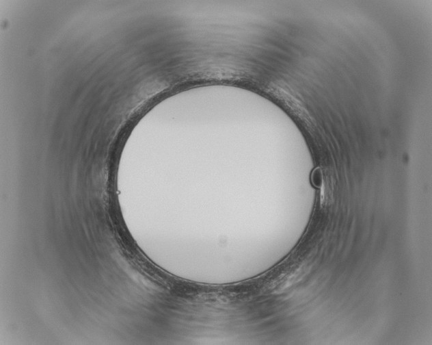 X0000089390627200707061204