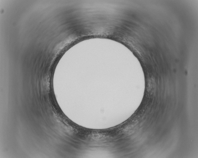 X0000089390632200707061204