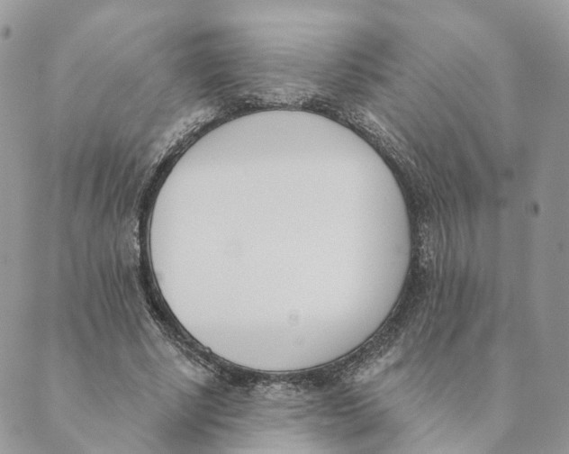 X0000089390634200707061204