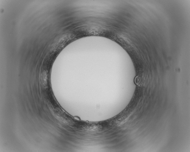 X0000089390646200707061205