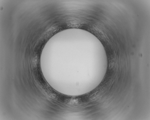 X0000089390647200707061205