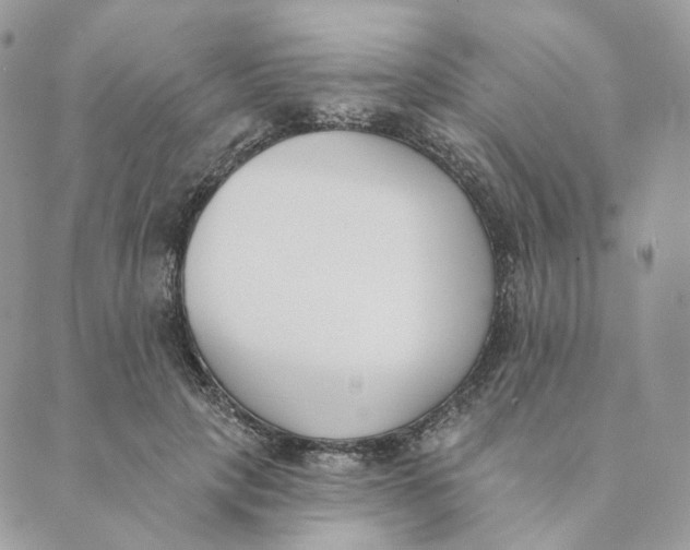 X0000089390649200707061205