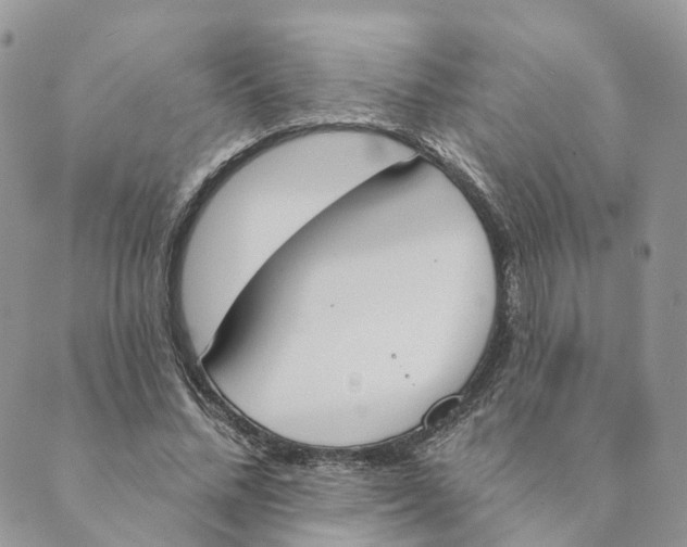 X0000089390684200707061204