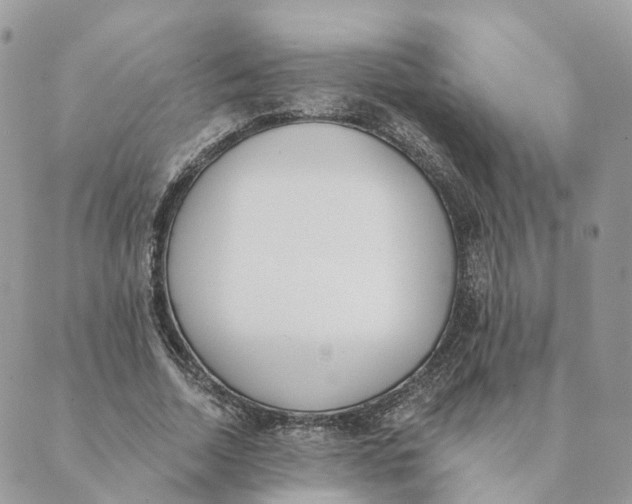 X0000089390730200707061203